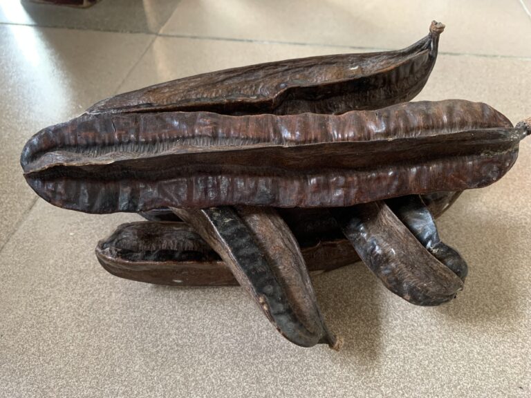 Prekese: The African Super Spice with Incredible Health Benefits