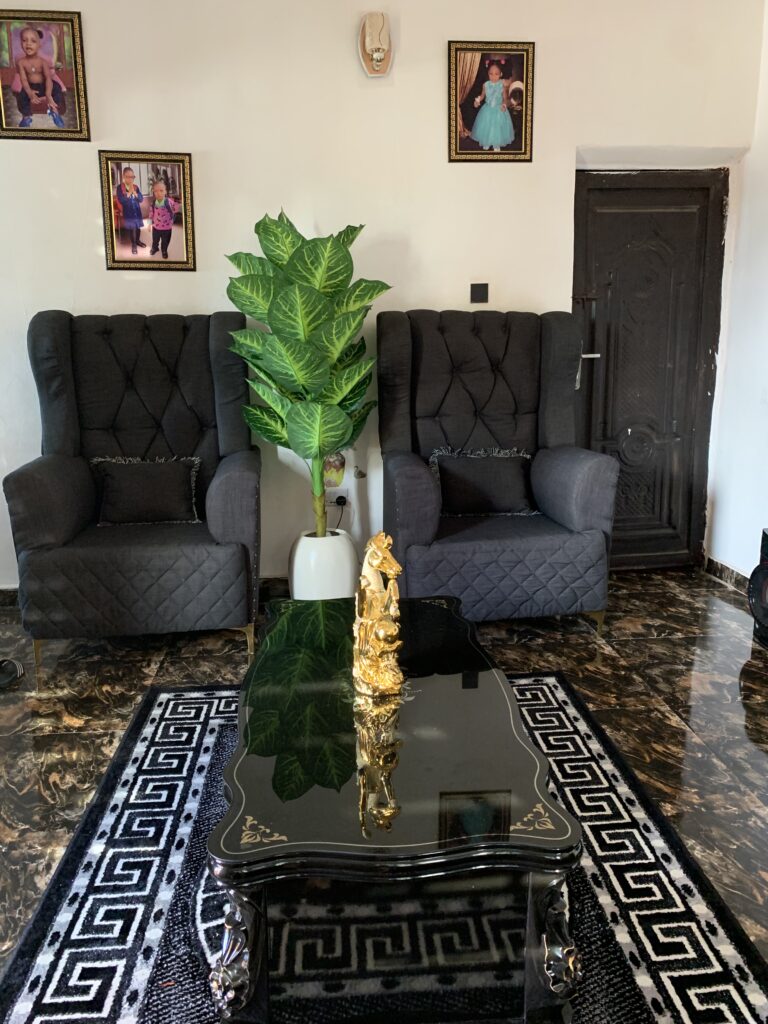 home organization, living room

