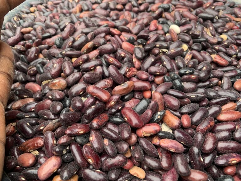 Stop Ignoring Kidney Beans: 9 Incredible Reasons to Eat Them More Often
