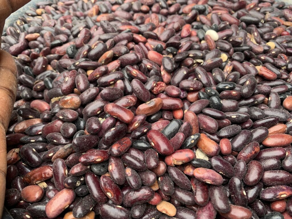 kidney beans