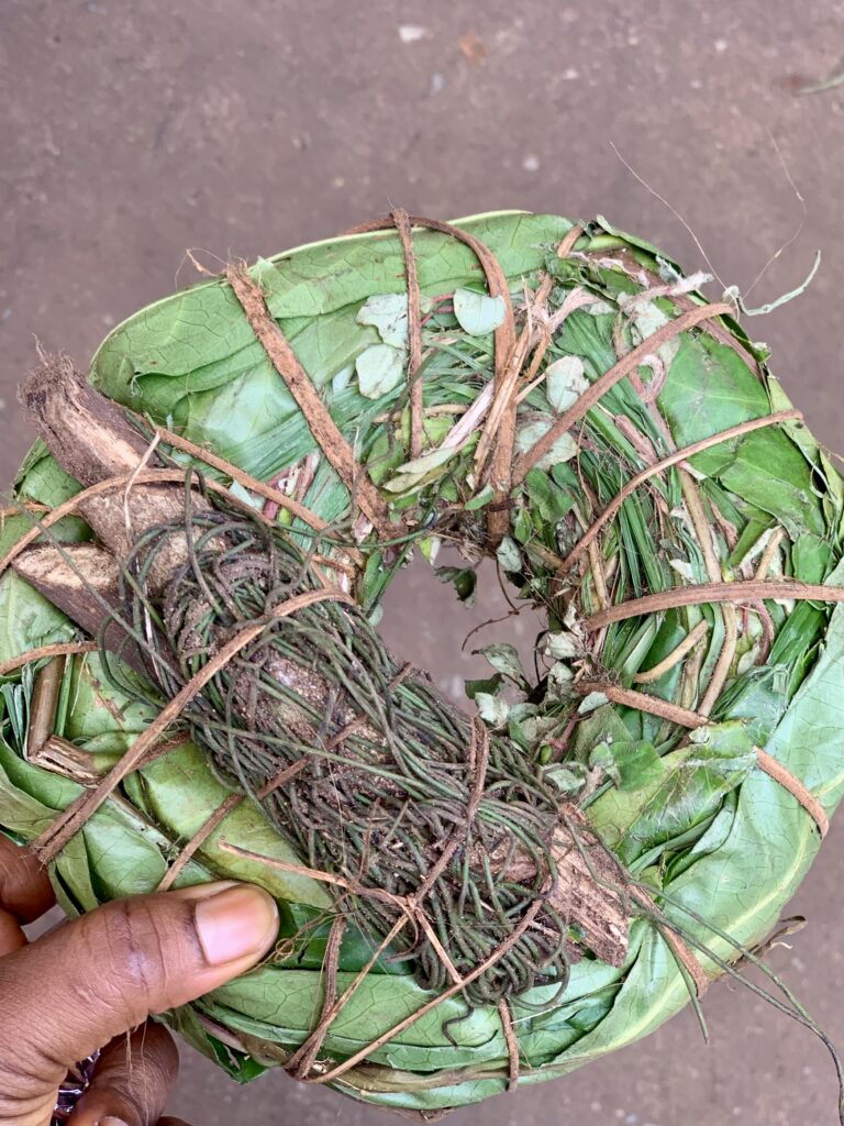 aju mbaise