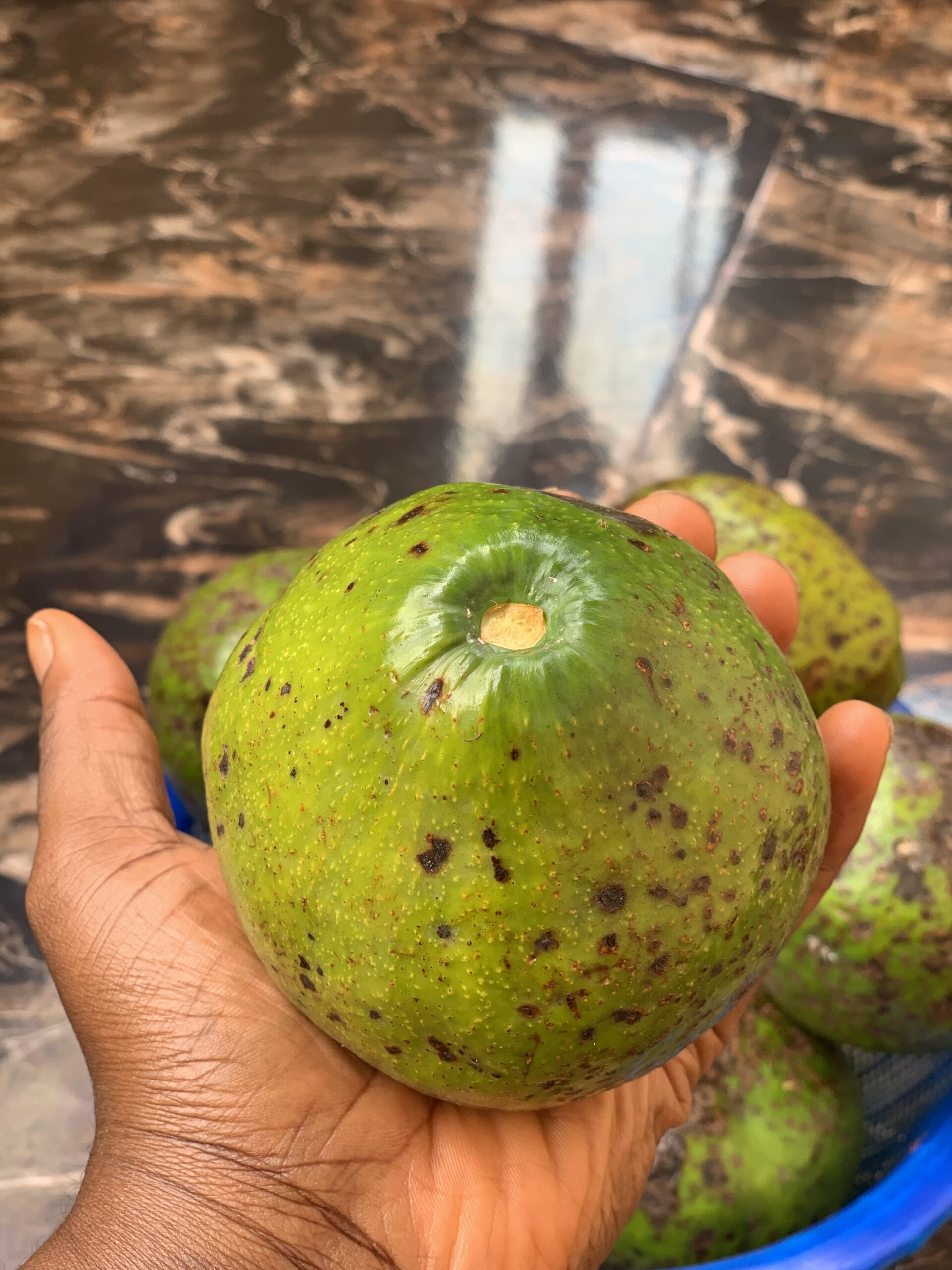 11 Must-Know Facts About Avocado and Its Seed: Powerful Benefits Revealed