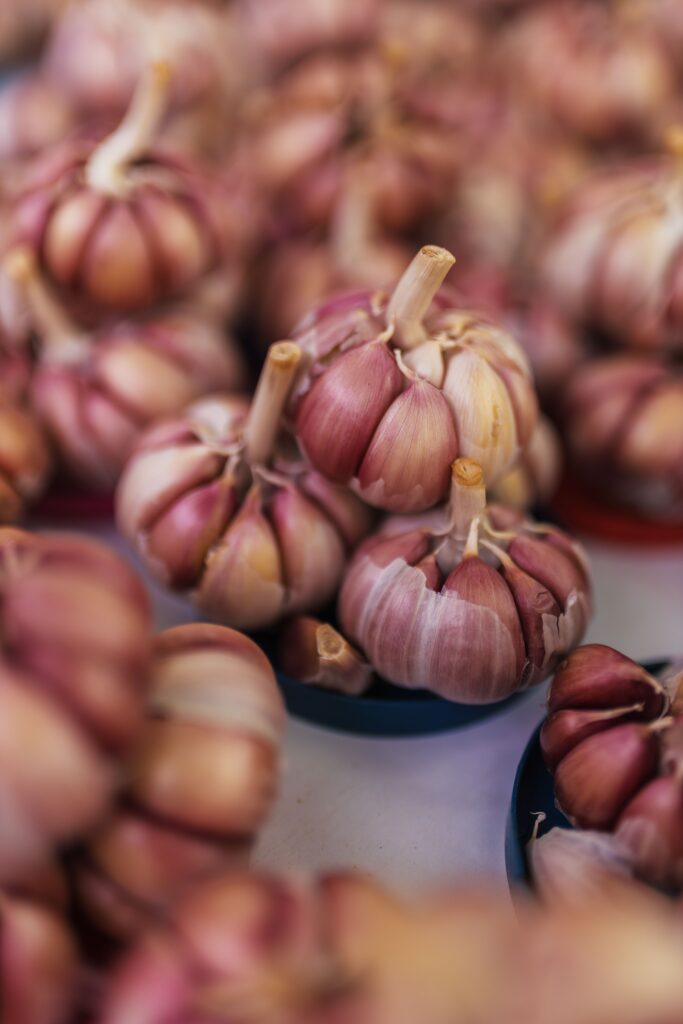 garlic